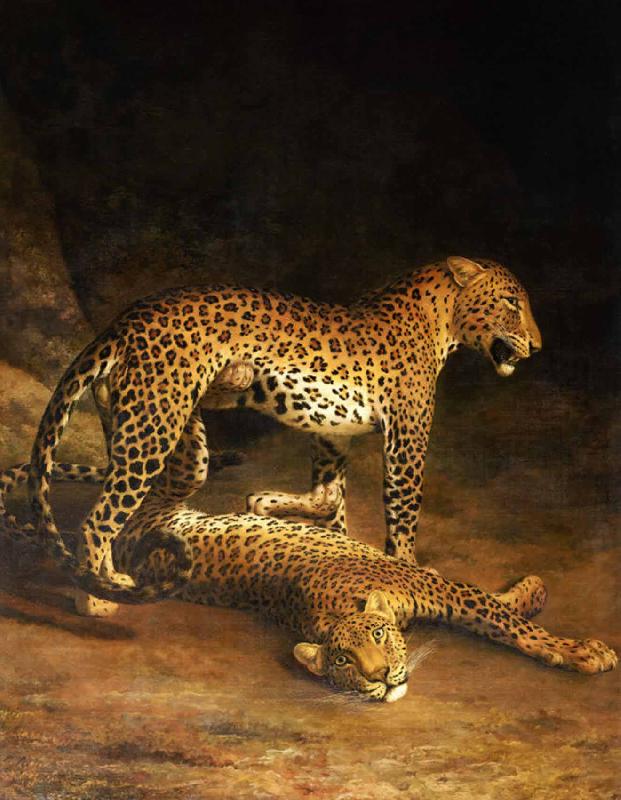 Jacques-Laurent Agasse Two Leopards Lying in the Exeter China oil painting art